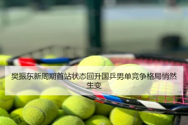 樊振东新周期首站状态回升国乒男单竞争格局悄然生变