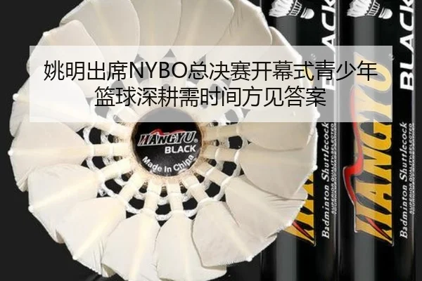 姚明出席NYBO总决赛开幕式青少年篮球深耕需时间方见答案