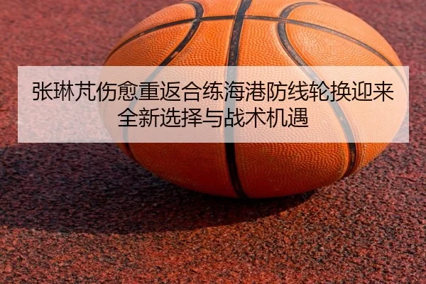 张琳芃伤愈重返合练海港防线轮换迎来全新选择与战术机遇